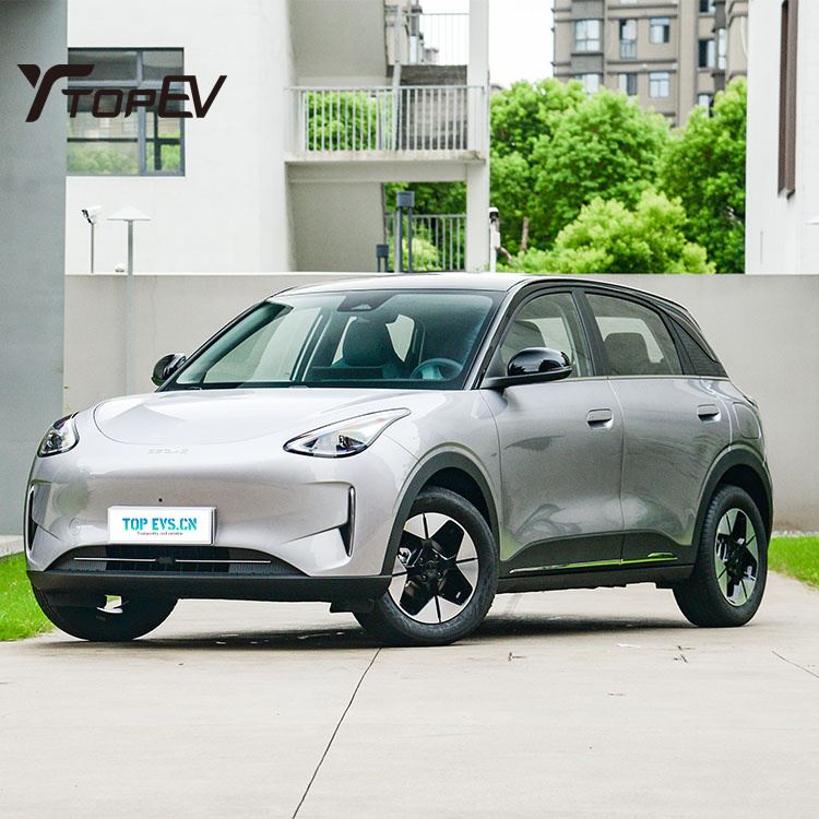 2025 Geely Star Wish 310KM Youth Edition Compact EV